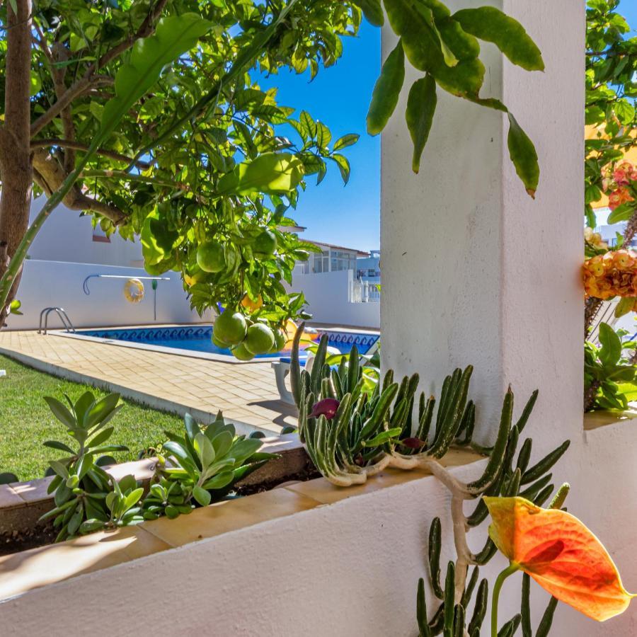 אלבופיירה Apartamentos Carruna מראה חיצוני תמונה